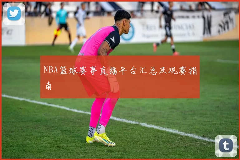 NBA篮球赛事直播平台汇总及观赛指南
