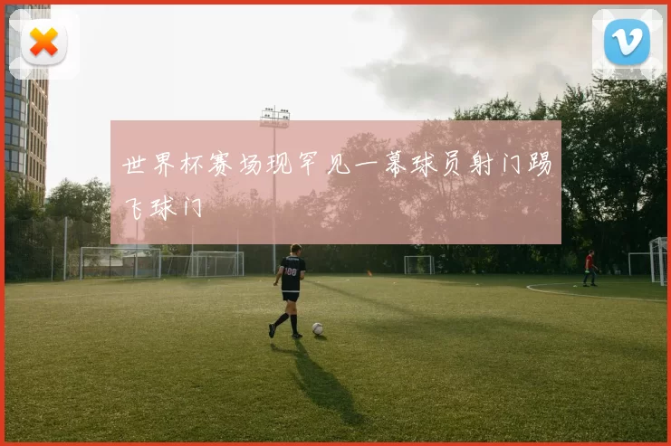 世界杯赛场现罕见一幕球员射门踢飞球门
