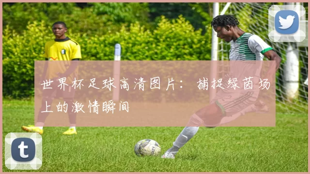 世界杯足球高清图片:捕捉绿茵场上的激情瞬间
