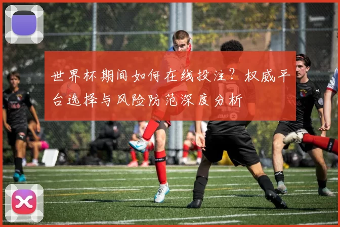 世界杯期间如何在线投注？权威平台选择与风险防范深度分析