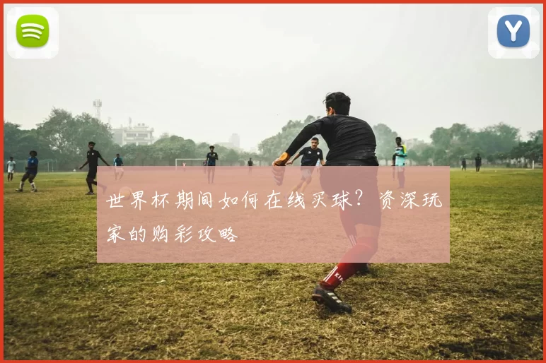 世界杯期间如何在线买球？资深玩家的购彩攻略