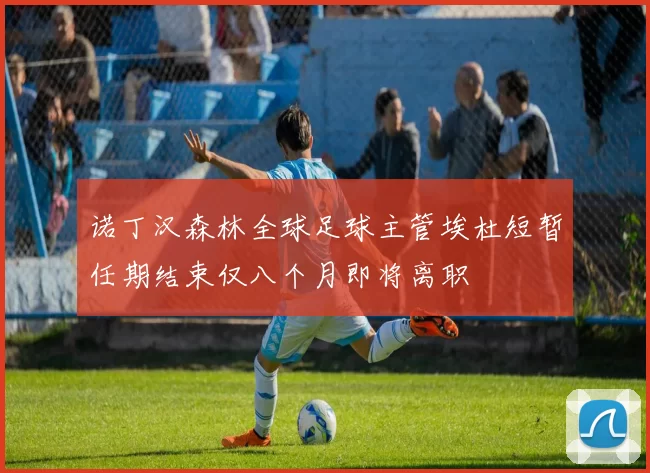 诺丁汉森林全球足球主管埃杜短暂任期结束仅八个月即将离职