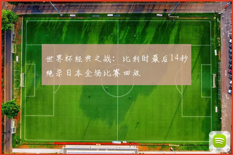 世界杯经典之战:比利时最后14秒绝杀日本全场比赛回放