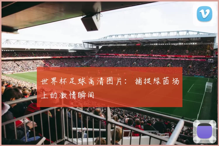 世界杯足球高清图片:捕捉绿茵场上的激情瞬间