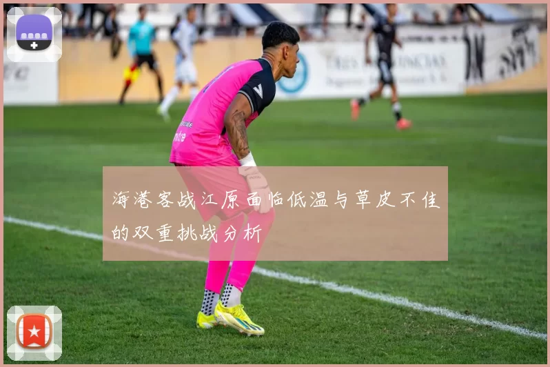 海港客战江原面临低温与草皮不佳的双重挑战分析