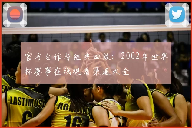 官方合作与经典回放：2002年世界杯赛事在线观看渠道大全