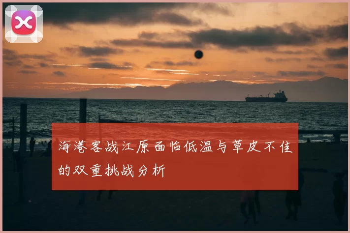 海港客战江原面临低温与草皮不佳的双重挑战分析
